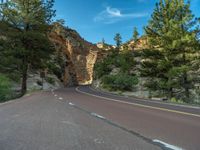 Road and Landscape in Zion National Park