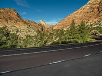 Zion National Park Road Landscape in the USA