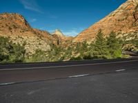 Zion National Park Road Landscape in the USA