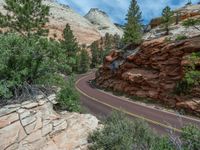 Road in Zion National Park: Exploring the Mountainous Landscape