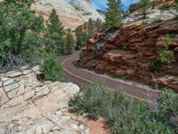 Road in Zion National Park: Exploring the Mountainous Landscape