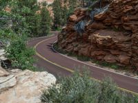 Road in Zion National Park: Exploring the Mountainous Landscape