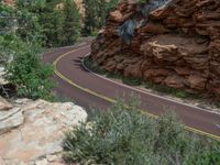 Road in Zion National Park: Exploring the Mountainous Landscape