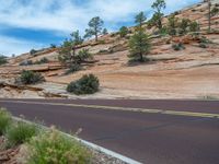 Road Travel in Zion National Park, Utah