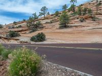 Road Travel in Zion National Park, Utah