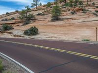 Road Travel in Zion National Park, Utah