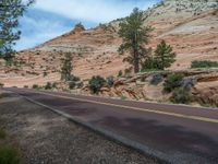 Zion National Park Road in USA Landscape