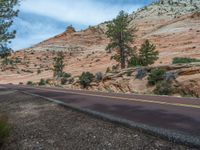 Zion National Park Road in USA Landscape