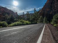 Road in Zion National Park, Utah: A Breathtaking Landscape