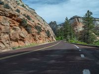 Straight Road Through Zion National Park, USA