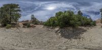 a picture of a very large dirt area and many trees under a blue sky with clouds