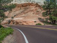 Zion National Park, USA: Road Through Nature