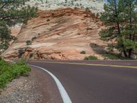 Zion National Park, USA: Road Through Nature