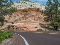 Zion National Park, USA: Road Through Nature