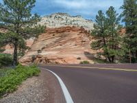 Zion National Park, USA: Road Through Nature