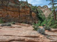 Zion National Park, Utah: Asphalt Road in the Majestic Landscape