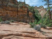 Zion National Park, Utah: Asphalt Road in the Majestic Landscape