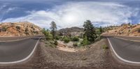 a view of a desert with some trees and mountain as well as one image of a road