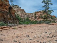 Zion National Park, Utah: Open Space Landscape