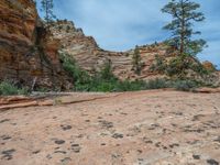 Zion National Park, Utah: Open Space Landscape