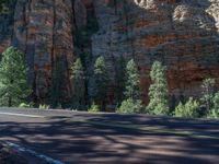 Road in Zion National Park, Utah