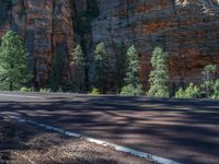 Road in Zion National Park, Utah