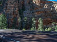 Road in Zion National Park, Utah