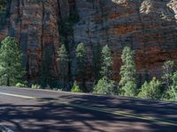 Road in Zion National Park, Utah