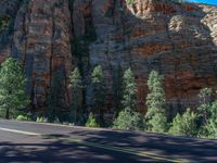 Road in Zion National Park, Utah