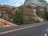 Zion National Park, Utah, USA: A Road Through Nature's Beauty