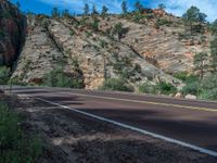 Scenic Road in Zion National Park, Utah