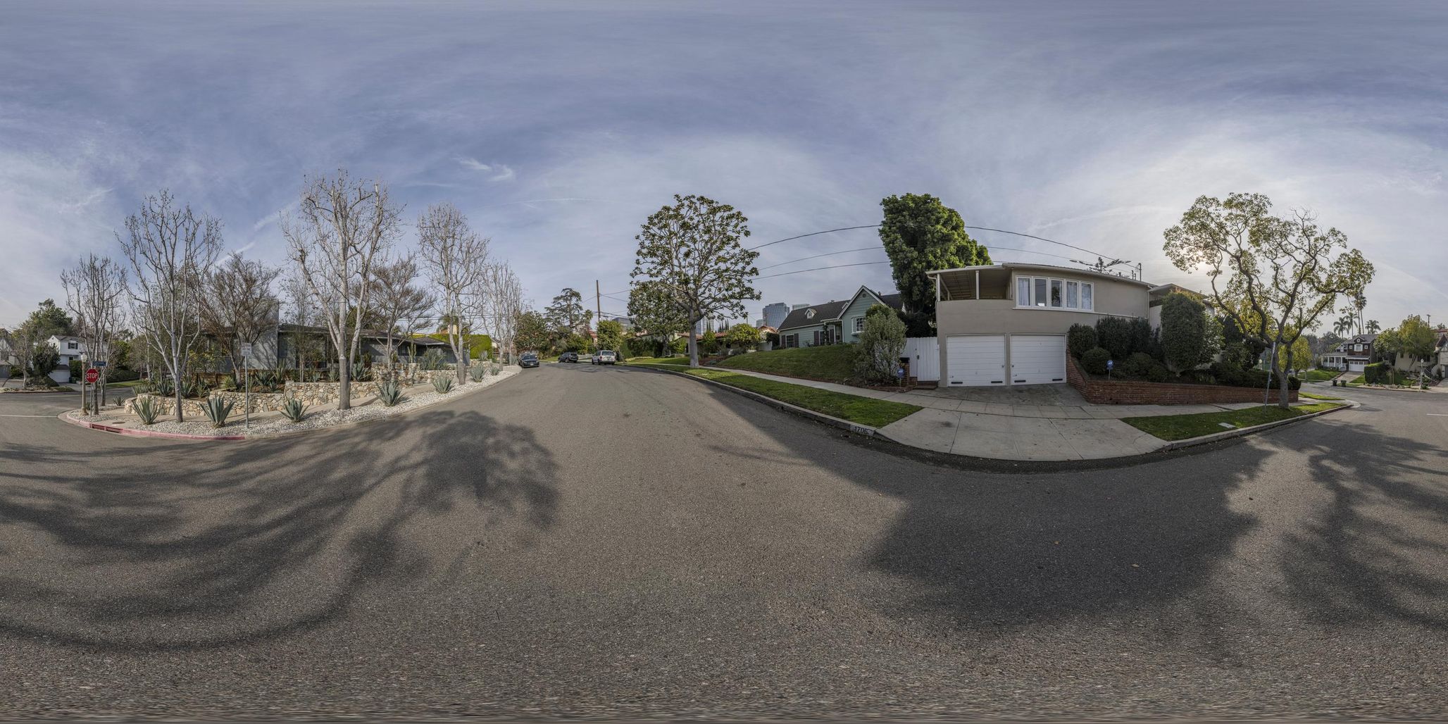 Los Angeles California Residential Buildings And Palm Trees Photo Inspiration