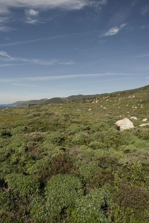 California Coastal Landscape with Open Grass Surface and Highland ...