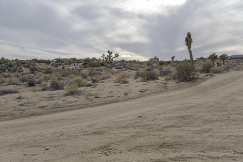 California Yucca Valley Desert Landscape - HDRi Maps and Backplates