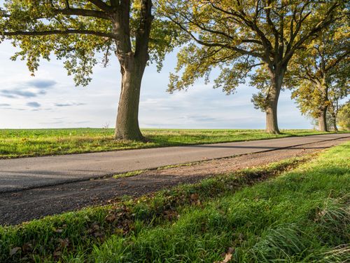 Germany Road: Asphalt and Green Landscape - HDRi Maps and Backplates