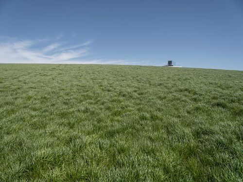 A Lone Tractor in a Green Field with Clear Sky - HDRi Maps and Backplates