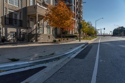 Tree-Lined Street in Ontario Suburb - HDRi Maps and Backplates