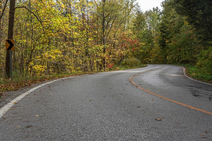 Scenic Drive Through Ontario Forest - HDRi Maps and Backplates