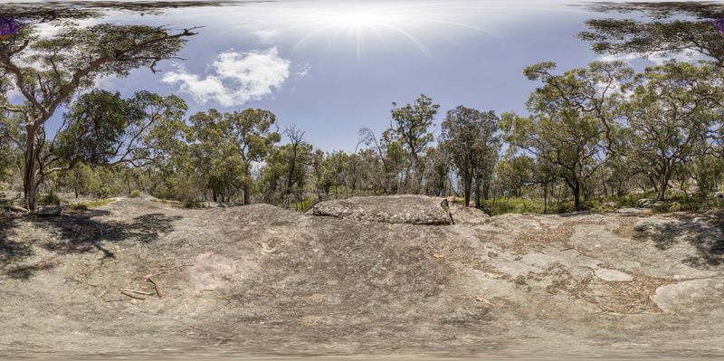 Rugged Landscape with Vegetation and Tree Trunk HDRi Maps and Backplates