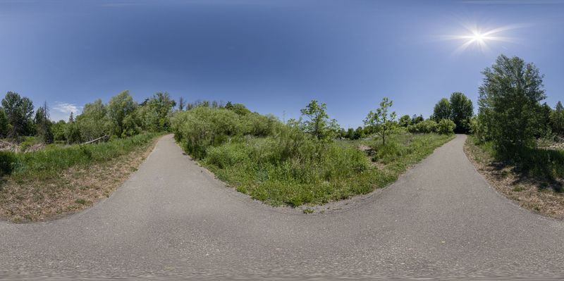 Lush Green Landscape in Ontario, Canada HDRi Maps and Backplates