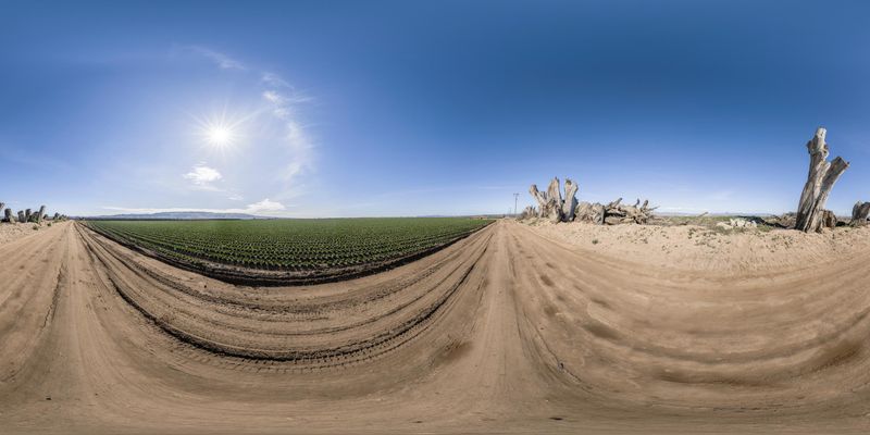 Rural California Field with Open Space and Clear Sky HDRi Maps and ...