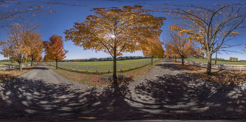 Straight Road in Rural Ontario, Canada HDRi Maps and Backplates