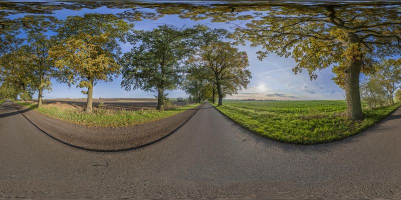 Autumn Road in Germany HDRi Maps and Backplates
