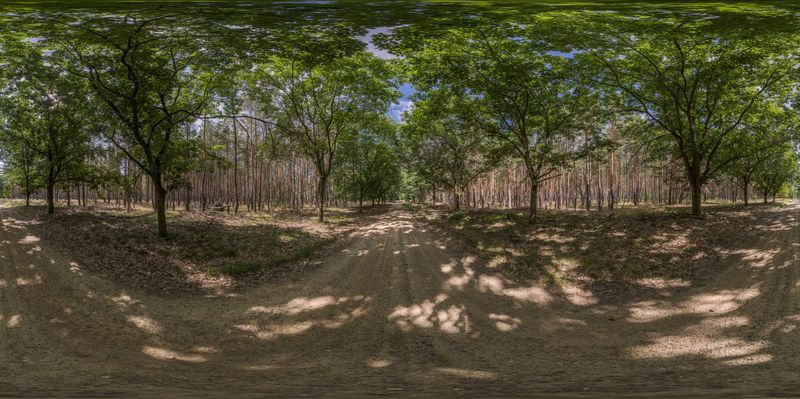 The Long Road Through Brandenburg HDRi Maps and Backplates