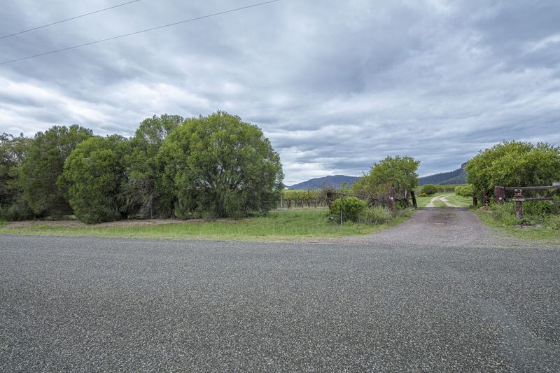 Rural Landscape with Green Vegetation and Road HDRi Maps and Backplates