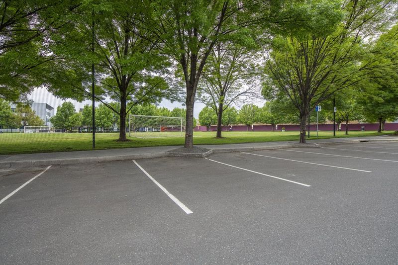 Lush Green Park Landscape with Tree-lined Road HDRi Maps and Backplates