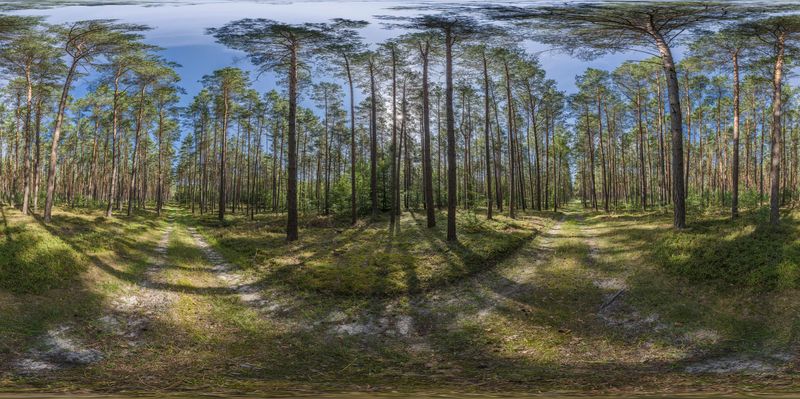 A Lush Journey Through Berlin and Brandenburg HDRi Maps and Backplates
