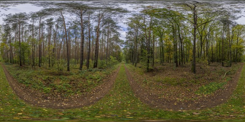 A Straight Road Through the Lush Berlin Landscape - HDRi Maps and ...