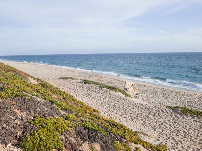Coastal Landscape with Sand, Grass, and Open Space HDRi Maps and Backplates
