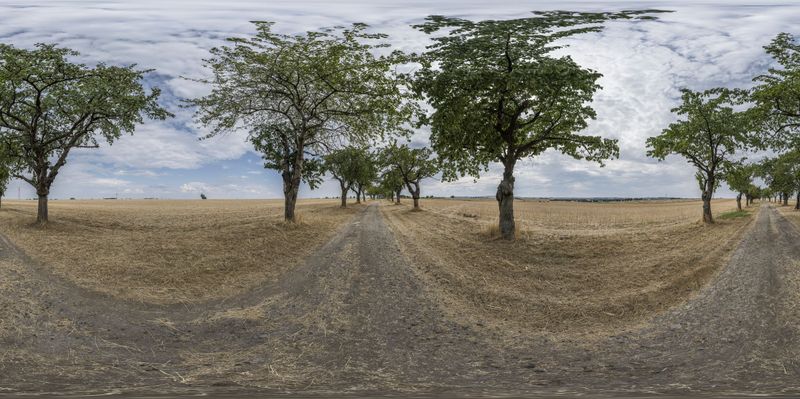 Rural Road in Germany: A Journey Through Nature HDRi Maps and Backplates